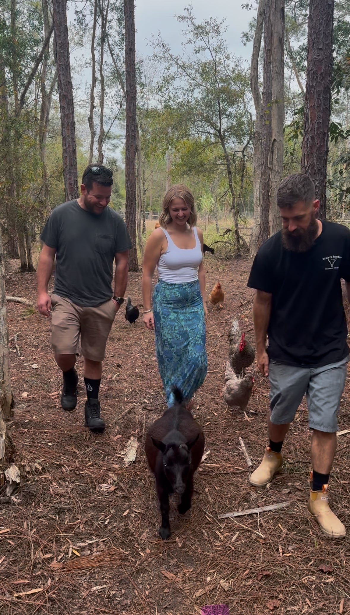 The Farm Animal Walk