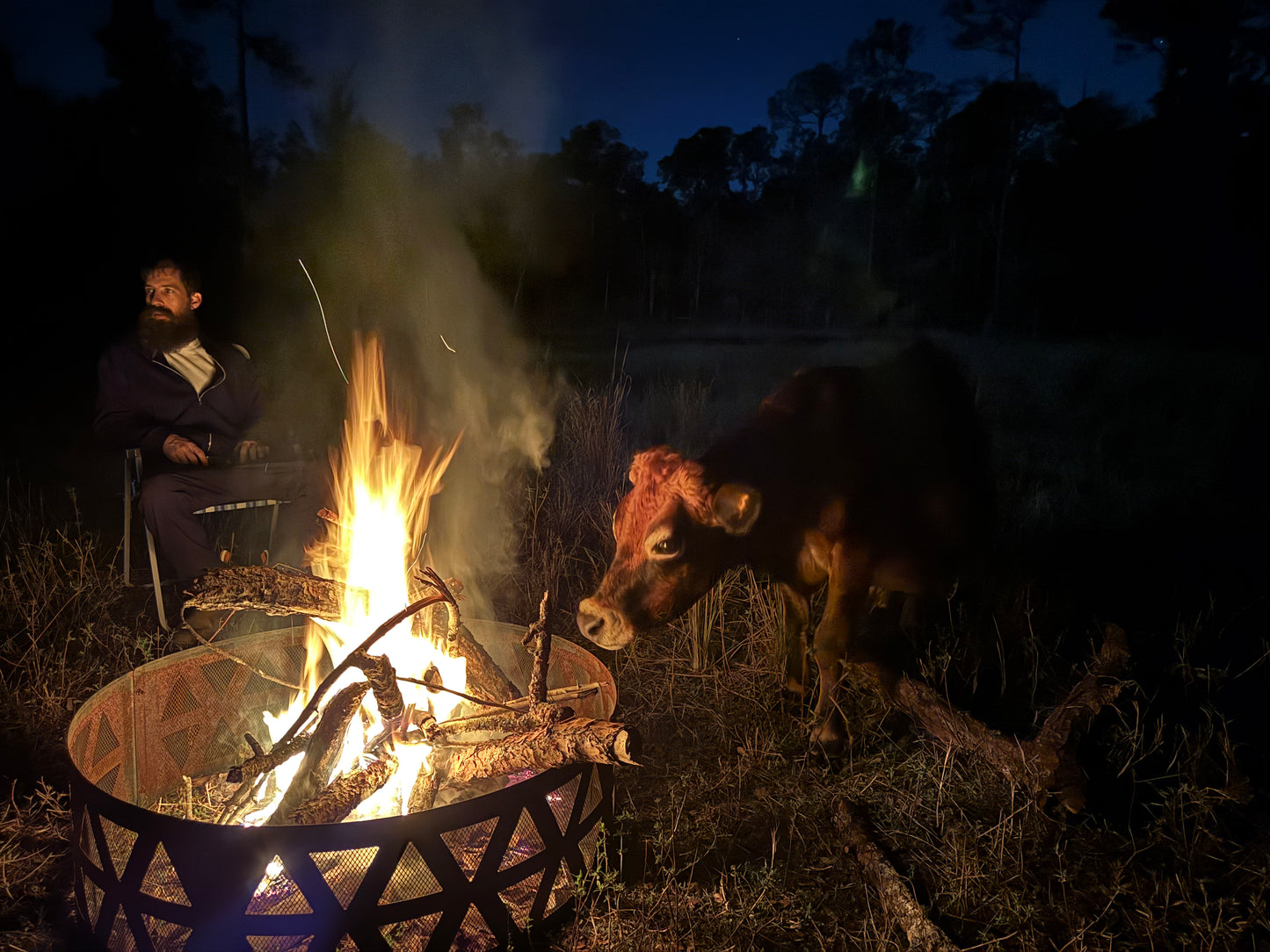 Book a Bonfire