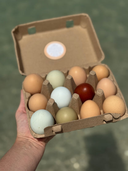 beyond organic, farm fresh eggs
