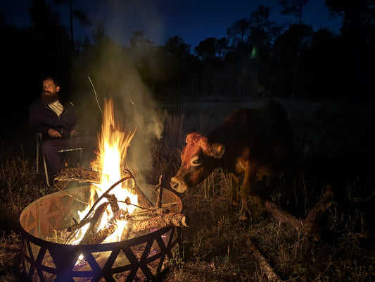 Book a Bonfire
