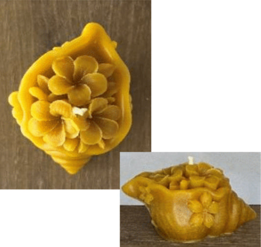 flower shell