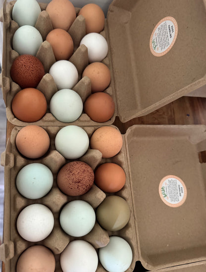 beyond organic, farm fresh eggs