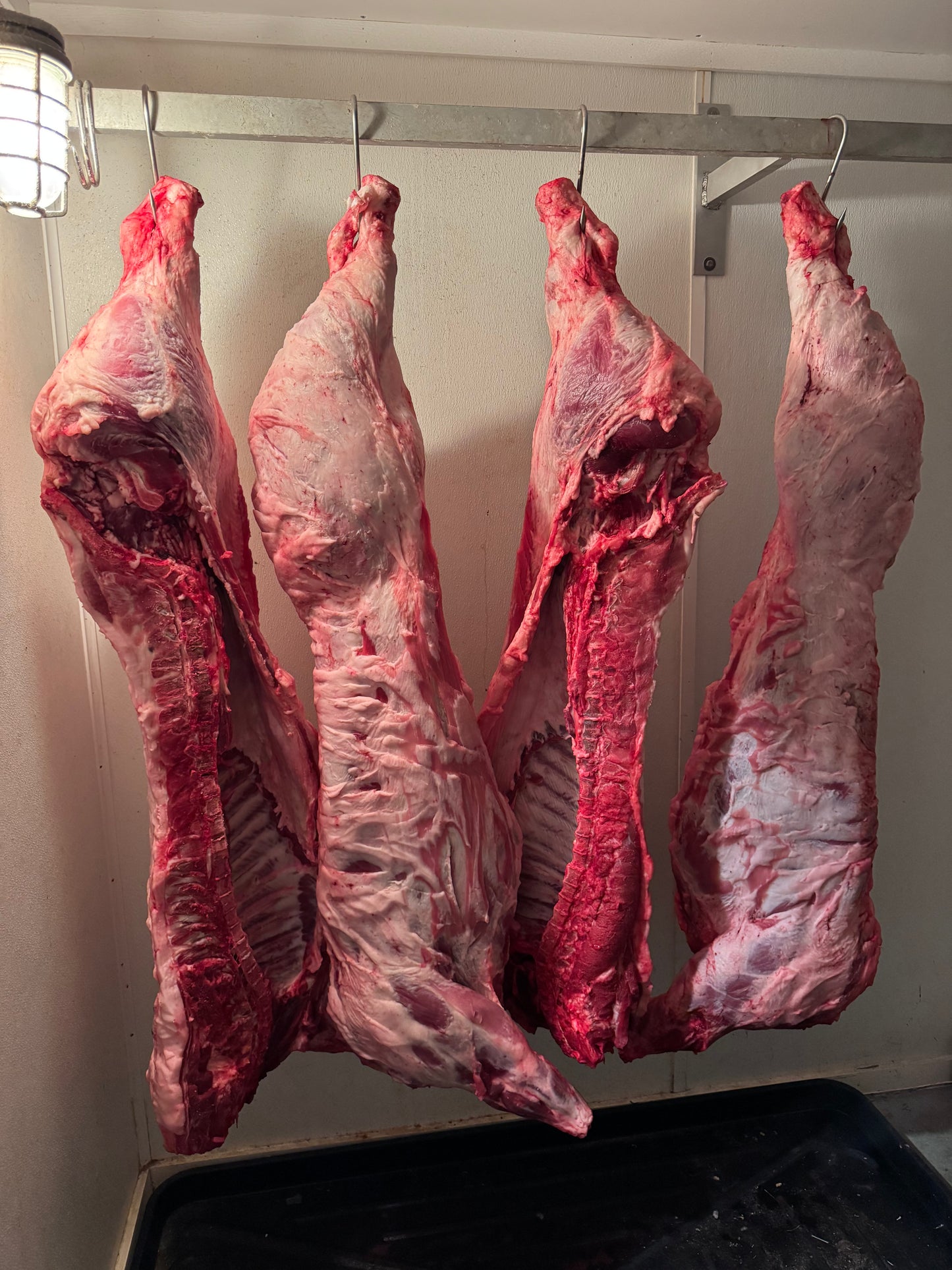 1/2 Share, Beyond Organic Pasture Raised, Berkshire Pig [DEPOSIT]