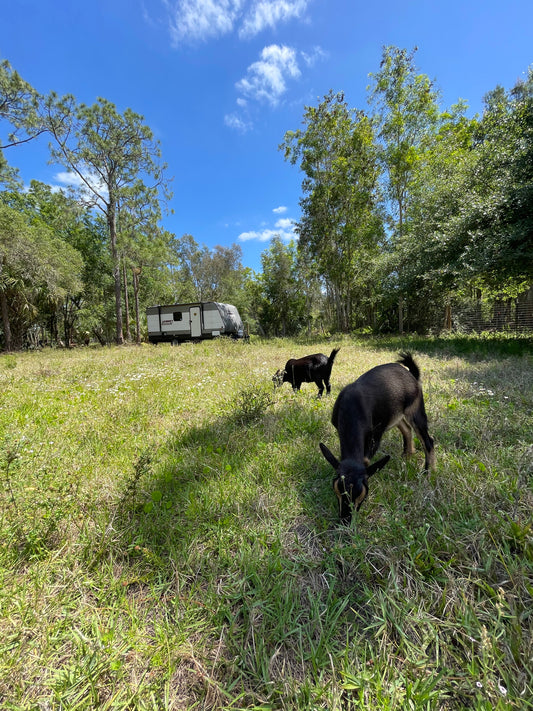 Book your Farmstay 🐄🐓🐐