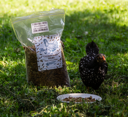 Flock Perfect Chicken Dance Grubs, 3.5lbs